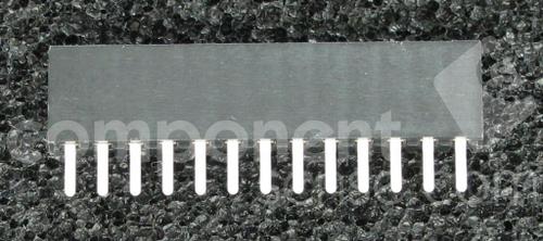960113-6303-AR 
