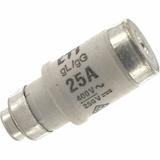 25NZ02GL 