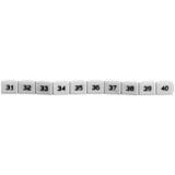 MT2/H-31-40