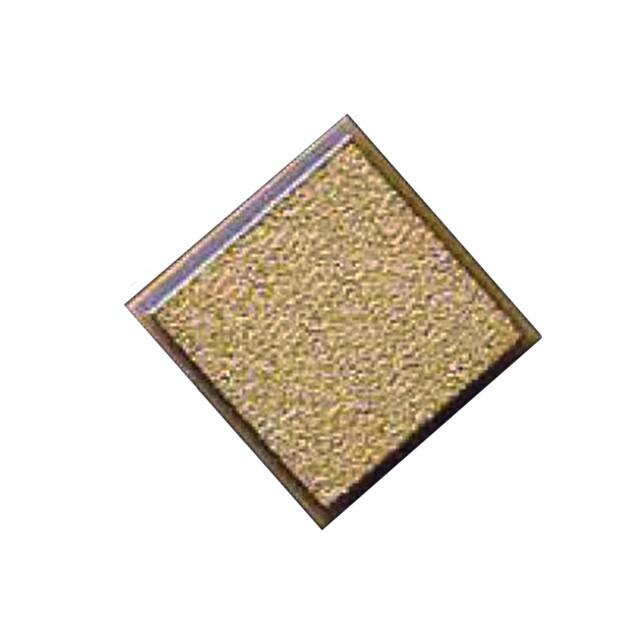 116TGA101K100TT 