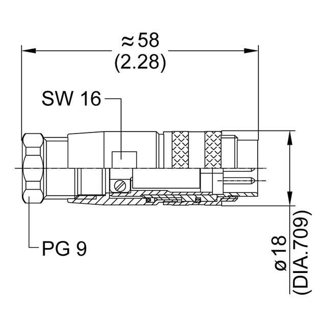 C091 31H003 101 2 