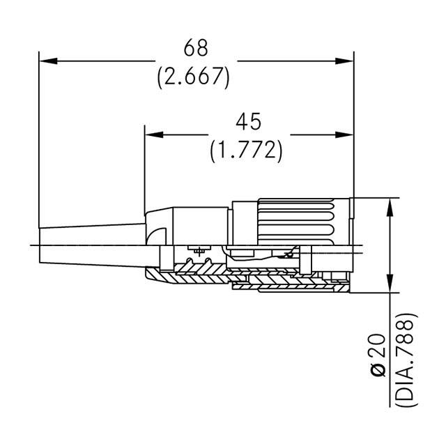 T 3636 013 