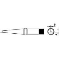 PTK6