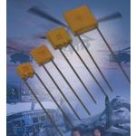 MR051A121JAATR 