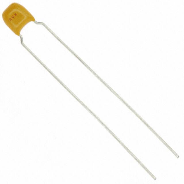 SK017C103KAR 