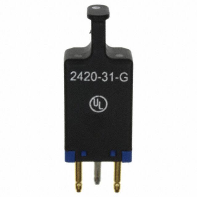 2420-31-G 