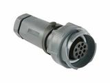 PXP7011/32P/CR/1315 