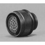 MS24266R12T12S9 