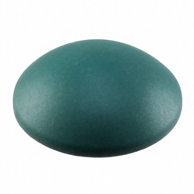 481D06000 