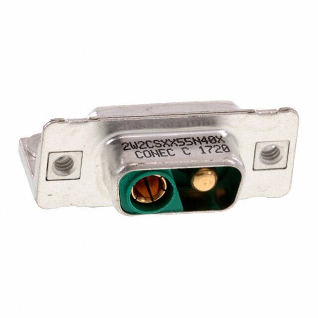 302W2CSXX55N40X 