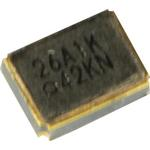 X1G004691028601 