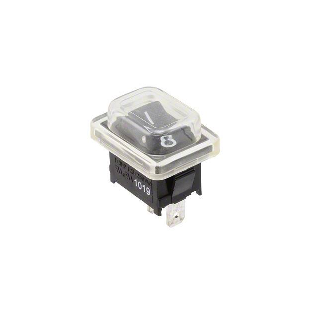 RA111C1121/ACC-P01 