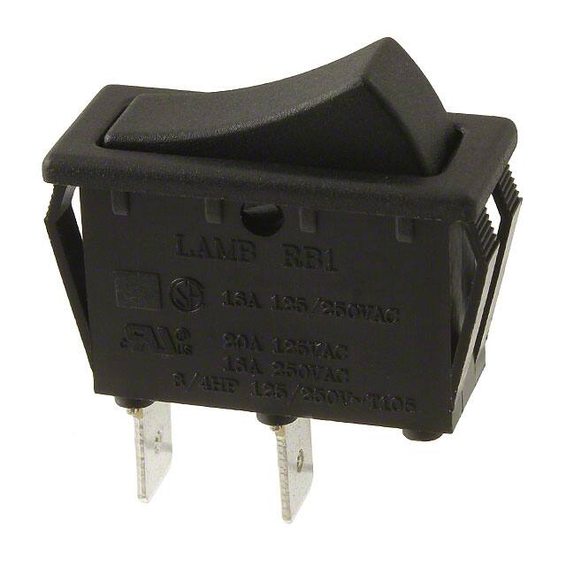 RB144D1100 