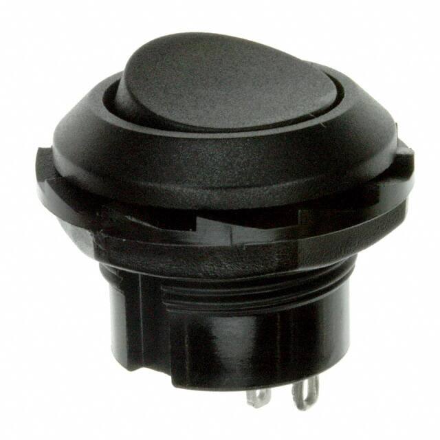 RR3130ABLKBLKES 