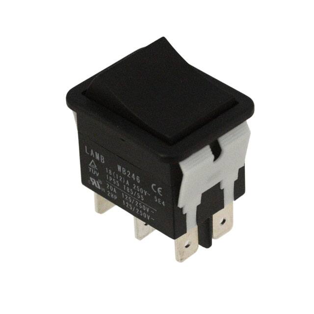 WB246D1100 