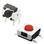 95CAP-004