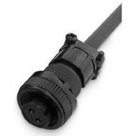 CA3106A10SL-3S 