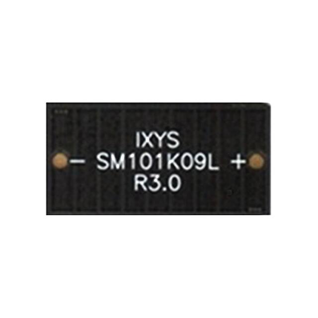 SM101K09L