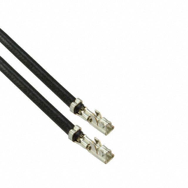 ASXASXA22K305 