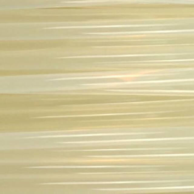 RM-PL0098 