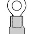 0190700065
