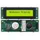 NHD-0220FZ-SYG-GBW
