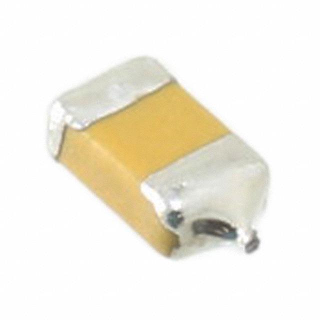 F950J107MSAAM1Q2 