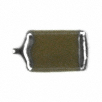 F951A106MRAAQ2 