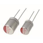 RR71C101MDN1KX
