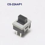 CS-22AAP1