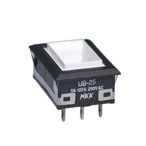 UB25NKG015D 
