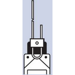 WLCL-2 