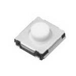 EVQQ2503W