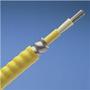 FSPP512Y