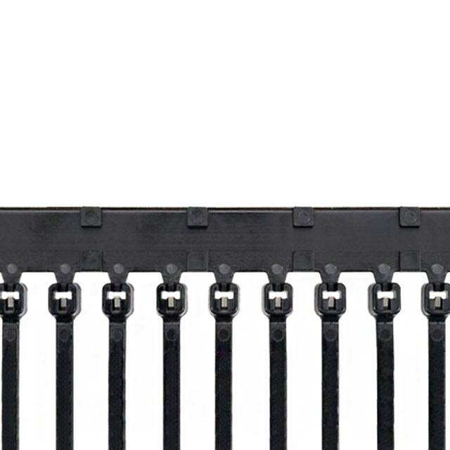 BT1M-XMR0 