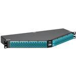 F1ABXN-1B08-10S
