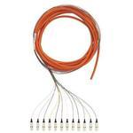 F66D2-NM6Y