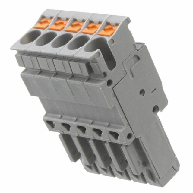 3209905 3209905