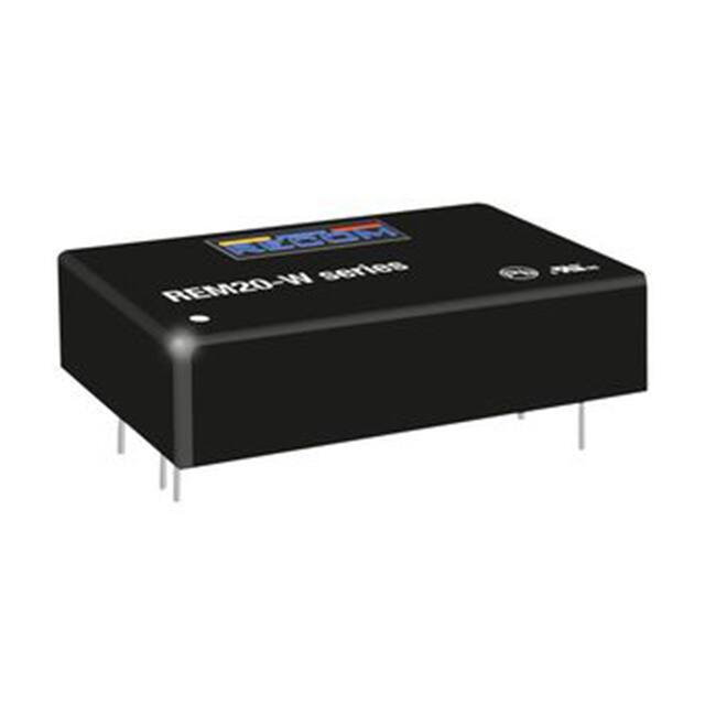 REM20-4812DW/P 
