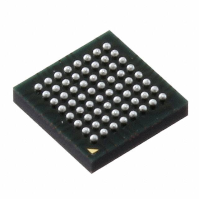 R5F100LCABG#U0 