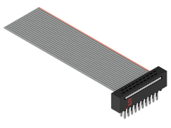 FFMD-03-01