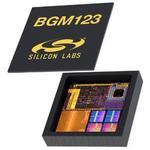 BGM123N256V2