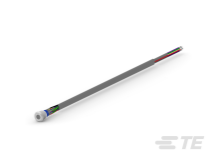 AV1920DB12T5Q04 
