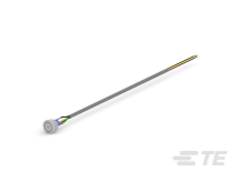 AV2511MA24T5Q04 
