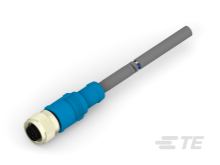 T4161320005-004 