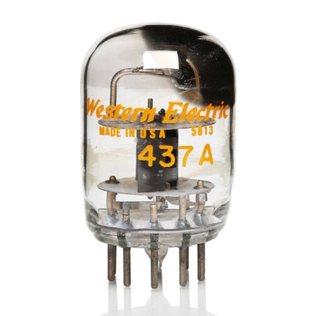 NOS-437A-WE-DIMINISHED 