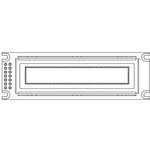 OLED-100H016D-GPP5N00000