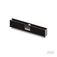 X2530WV-2X24-PTSN